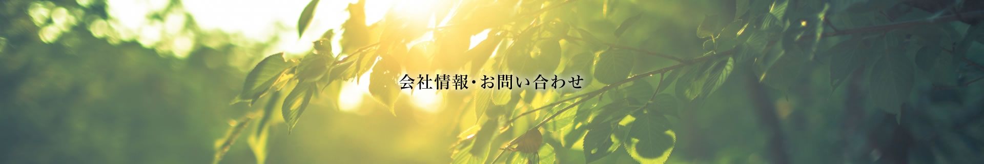 会社情報・お問い合わせ