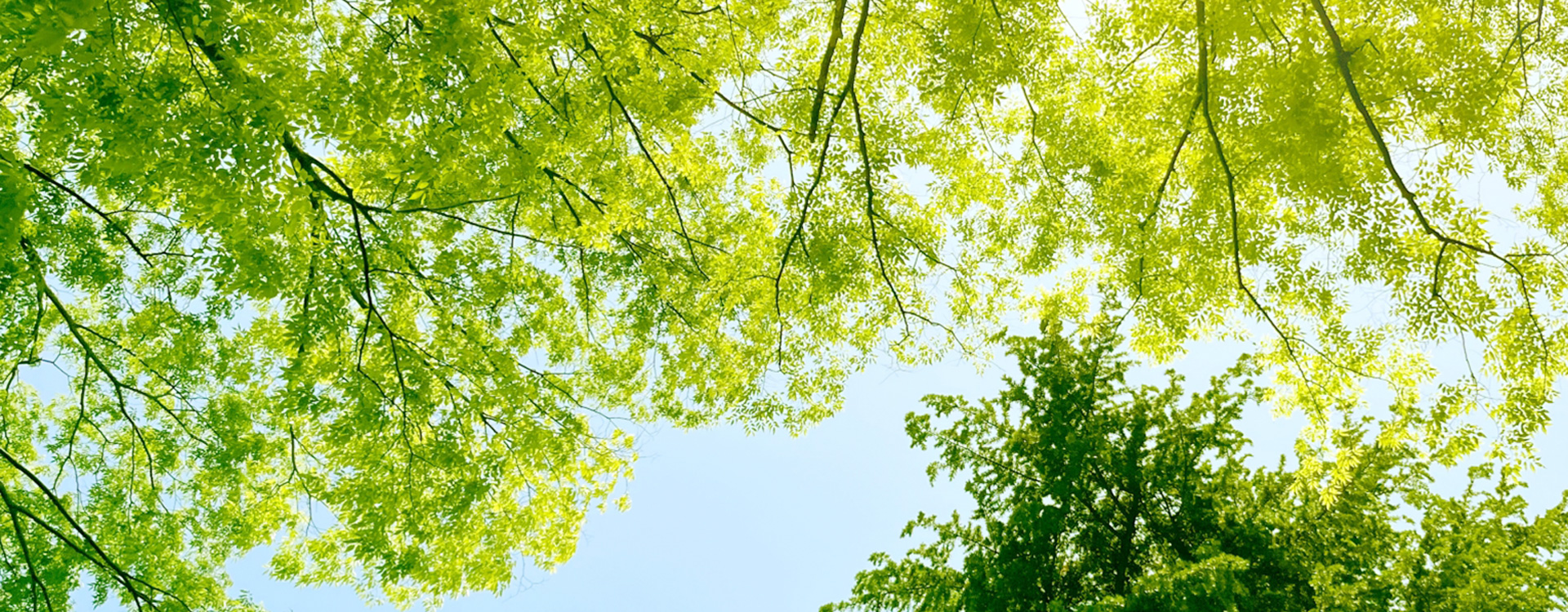 株式会社フロンティア