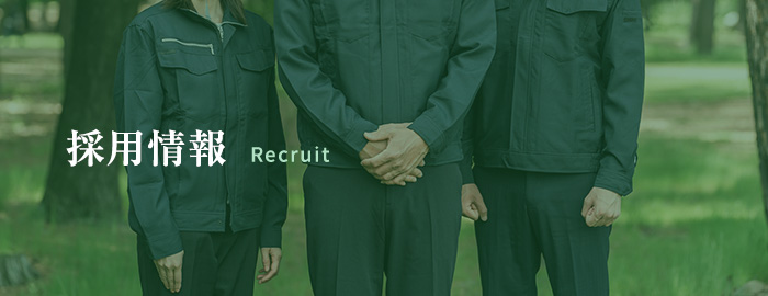 採用情報